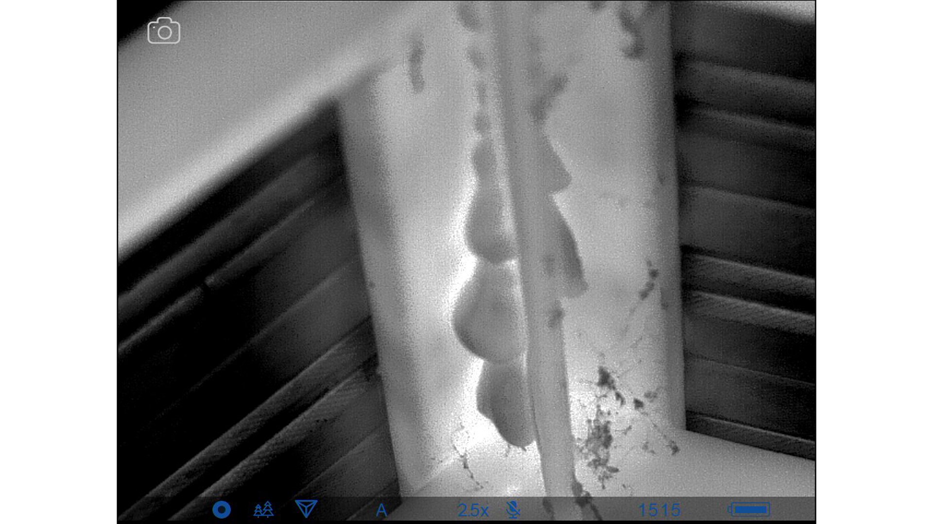 Thermal imaging screenshot of behive heat against wall black white