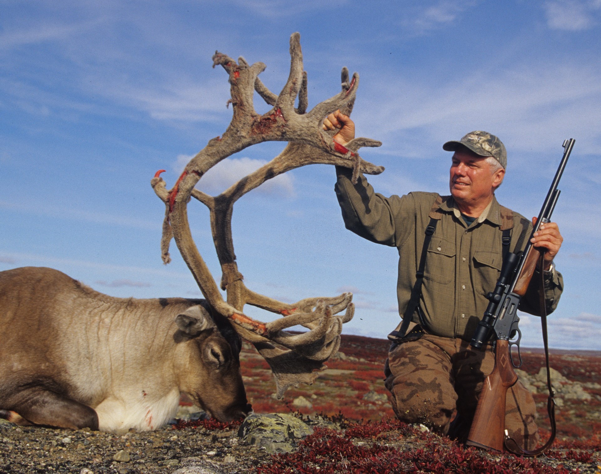 Layne Simpson outdoors hunter rifle lever-action marlin .444 MARLIN hunting dead caribou harvest conservation