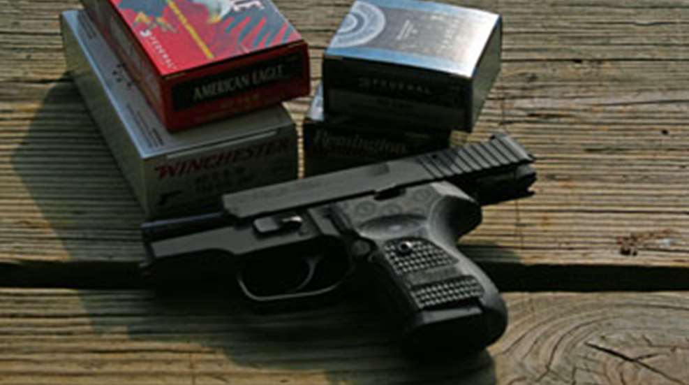 2012625144818-sigsauerp224_m.jpg