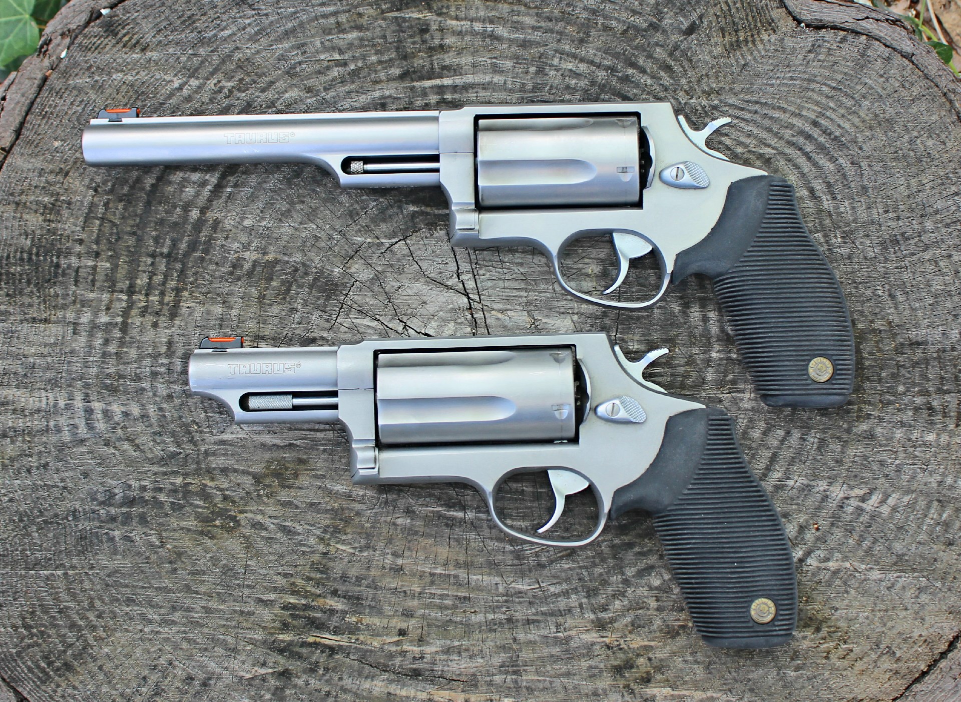 two taurus judge revolver guns stainless steel resting on log arrangement pointing left left-side view black grips matte finish wood background leaves