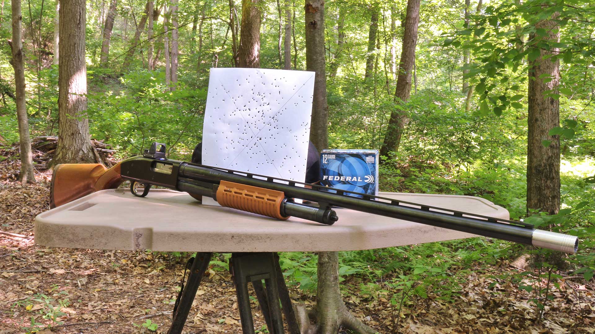 Customizing X Card Shotgun 1