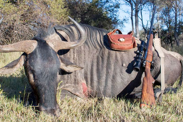 Top 5 Affordable African Plains Game Species