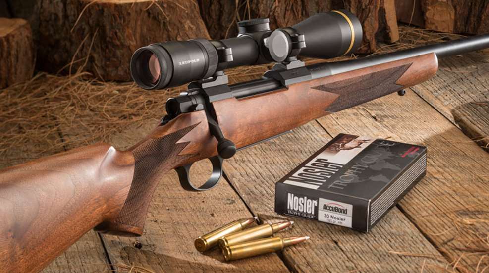 30nosler.jpg
