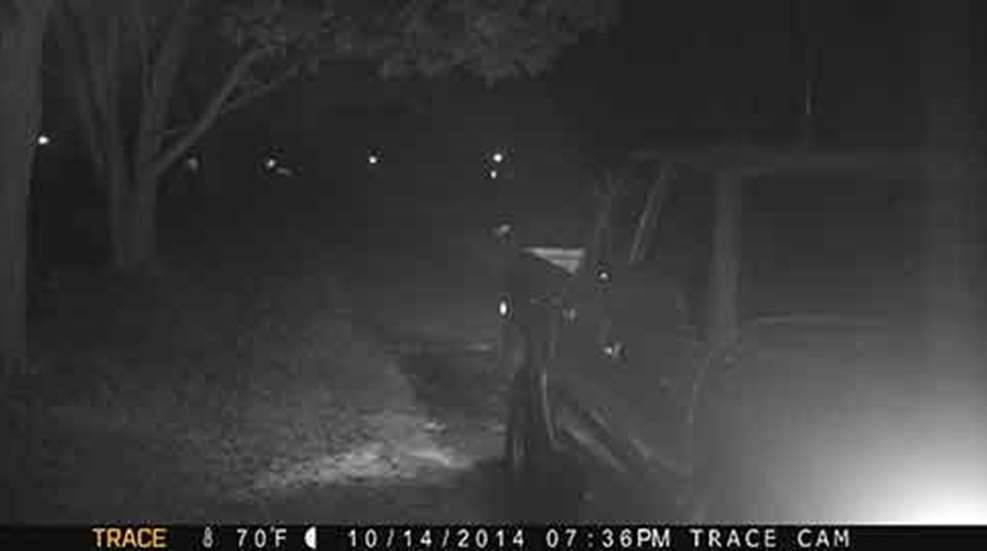 moultrie_image.jpg
