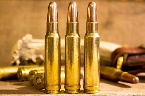 Behind the Bullet: .350 Remington Magnum