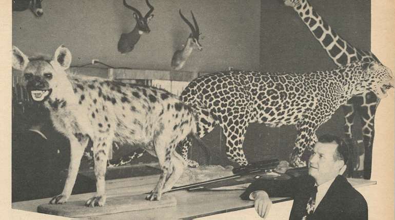 Roy Weatherby Velocity Web