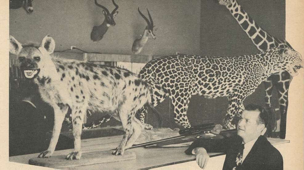 Roy Weatherby Velocity Web