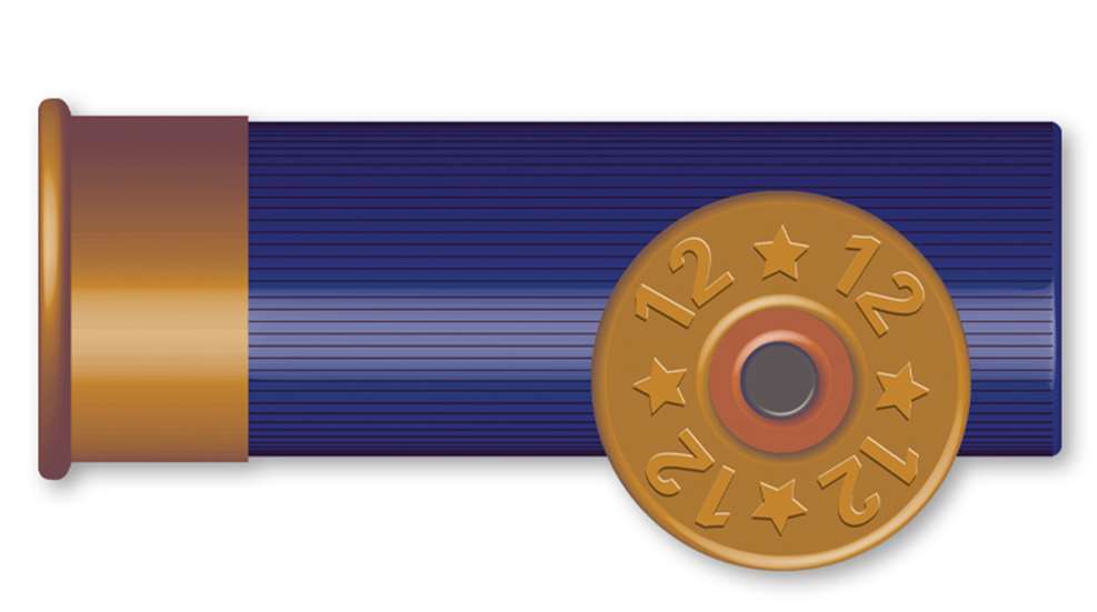 12ga.jpg