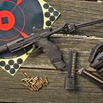 Stable Fun: The Taurus Brace-Ready TX22
