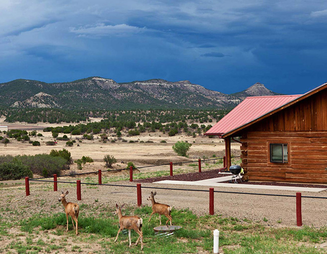 Founders' Cabins