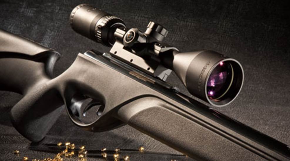 Gamo Extreme Air Rifle An Official Journal Of The NRA