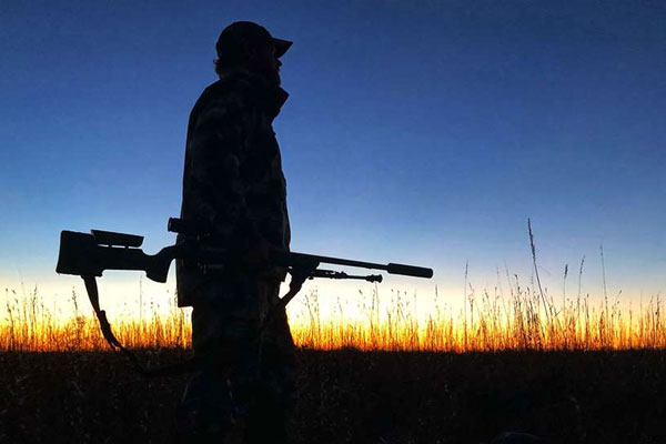 Dealing with Predator-Hunting Competition