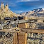 Howa New Models 01