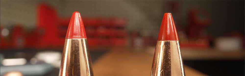 bullet tips