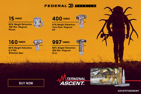 Terminal Ascent from Federal Ammunition.  Consistently Terminal
