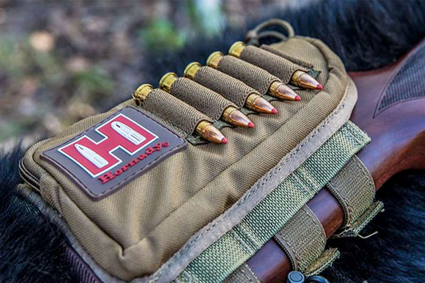 8 Best Charge-Stopping Bear Cartridges