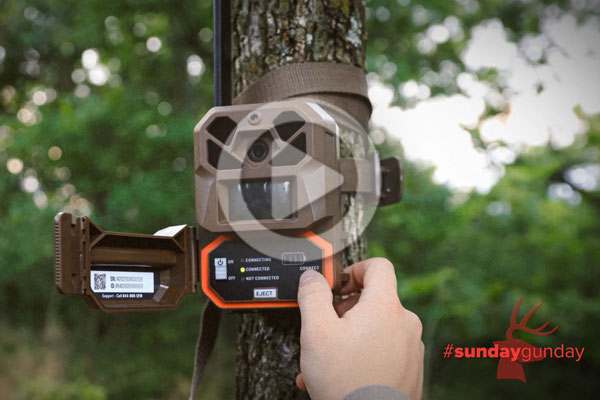 #SundayGunday: Moultrie Edge 3 Cellular Trail Camera