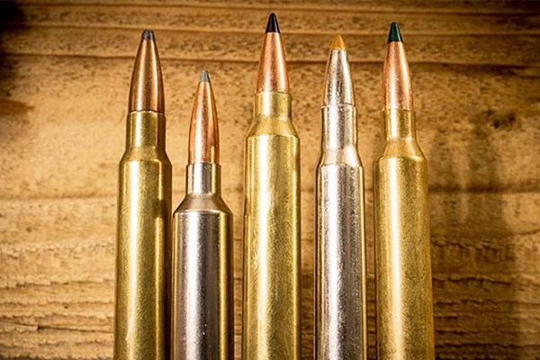 Top 5 All-Around North American Big-Game Cartridges
