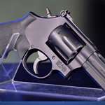 Gotw Smith Wesson 386 Night Guard 1