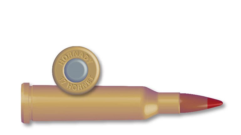 Latest Loads: A Heavier .17 Hornet | An Official Journal Of The NRA