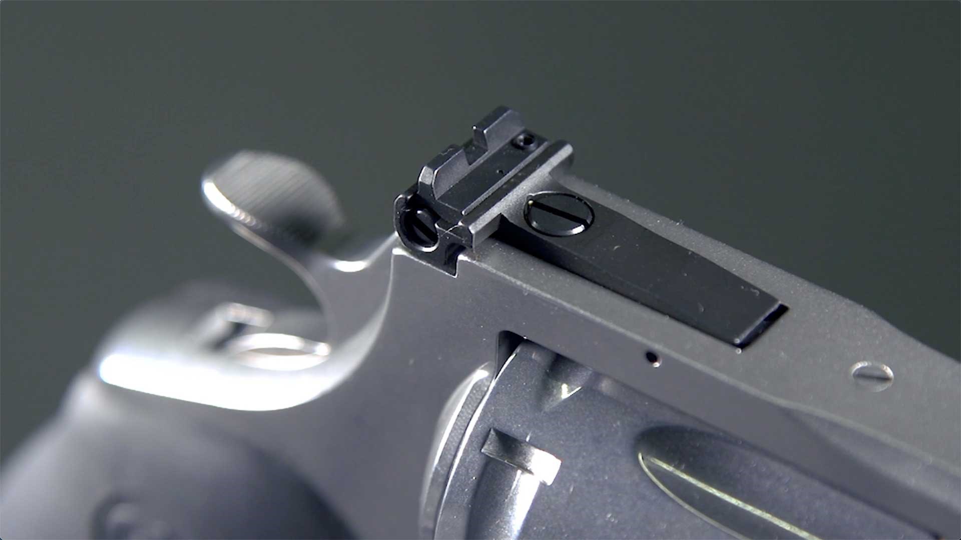 A close-up of the adjustable black rear sight on the Colt Anaconda revolver.
