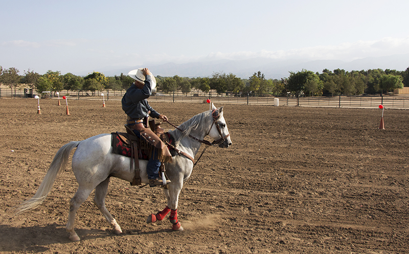 Cowboy