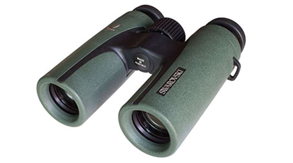 swarovski_cl_companion_f.jpg