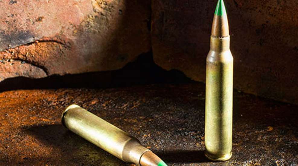ar_15.jpg