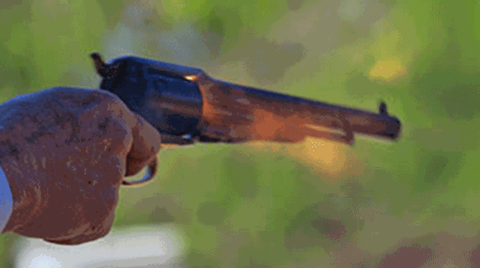 flaminghandgun.gif