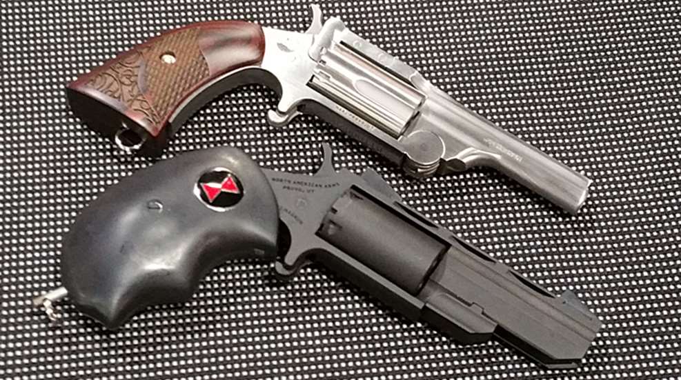 naa_naa_2-guns.jpg