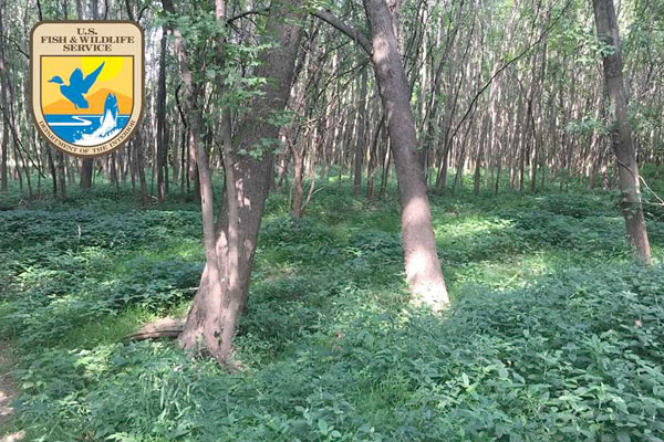 USFWS Proposes Improved Hunting Access on Refuges