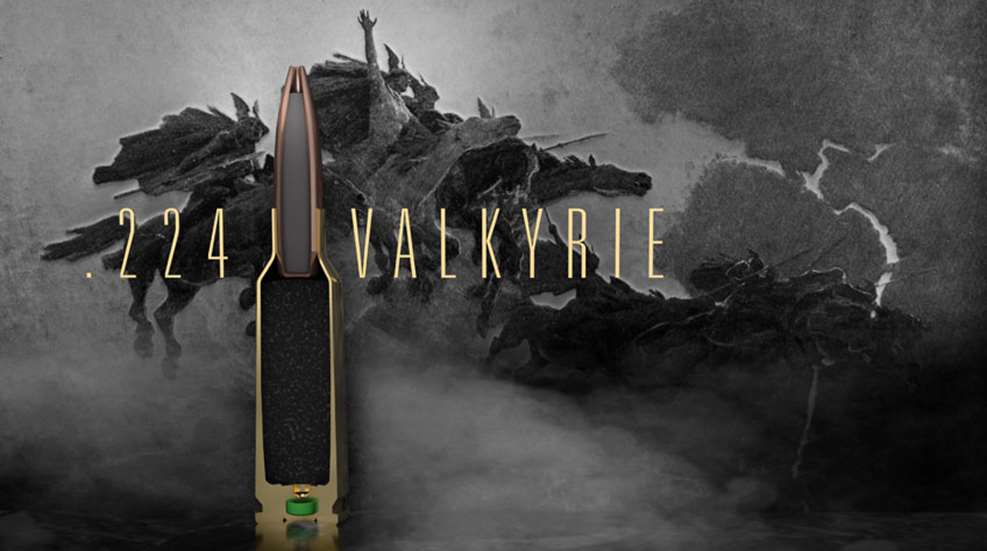 224valky.jpg