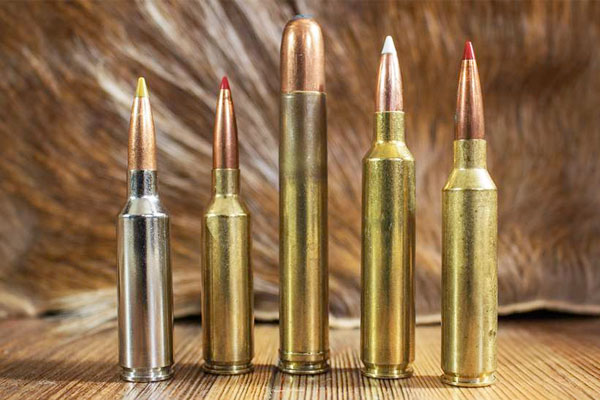 Top 5 Magnum Cartridges Without the Magnum Name