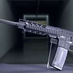 Rock River Arms Assurance Carbine 2
