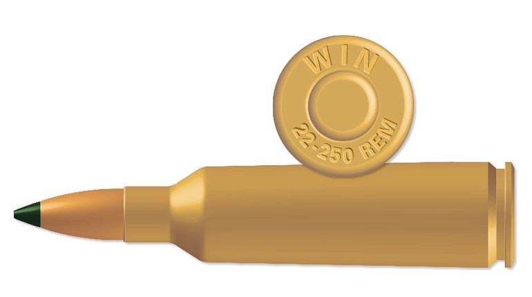 Handloads: .22-250 Rem. | An Official Journal Of The NRA