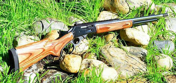 Bishop Firearms 1895 GBL lever-action rifle with wood stock and Picatinny rail resting in sunny field on pile of stones