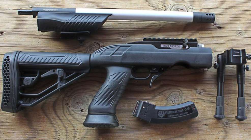 ruger_lede_021_rapt_r_cust-parts_01s.jpg