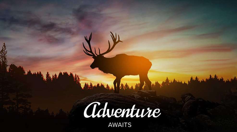 Penfed Trophy Elk Hunt Sweepstakes F