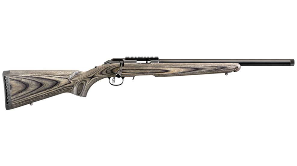 ruger_rimfire_lede.jpg