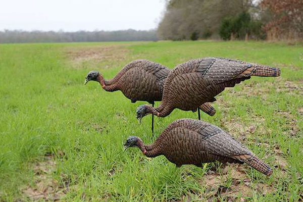 First Look: Mojo 3-in-1 Hen Turkey Decoy
