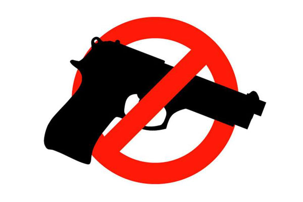 Gun Controllers' Real Goal Revealed