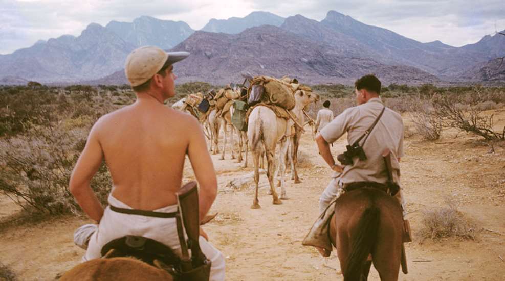 safarib.jpg