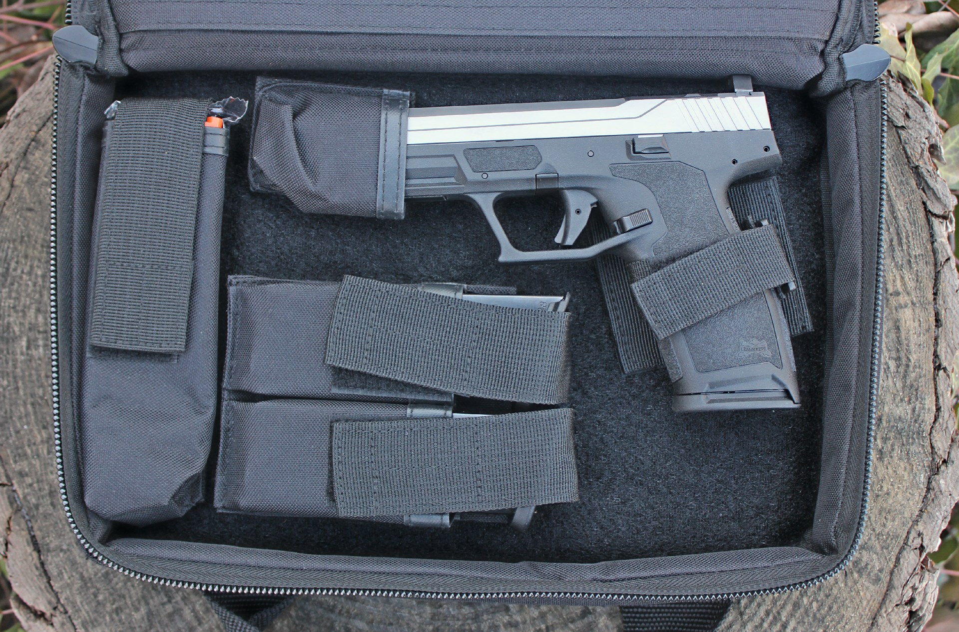 palmetto state armory 5.7 rock pistol in nylon case on log
