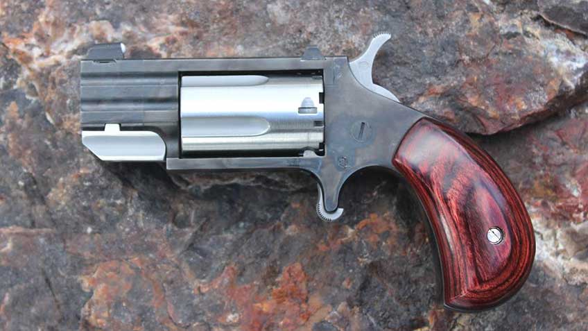 The NAA &quot;The Dude&quot; mini revolver from the left side.
