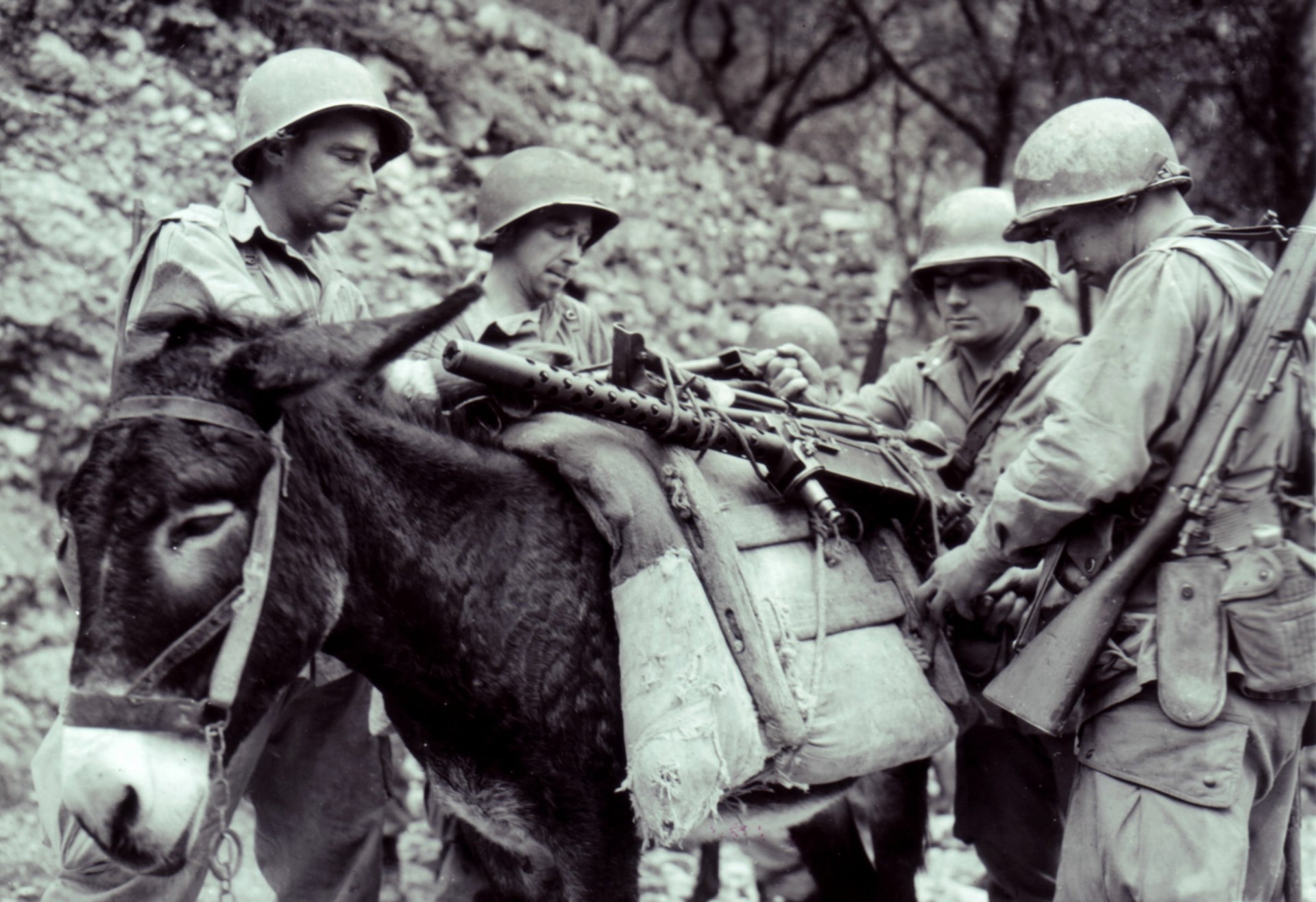 Mule power: A Browning M1919A4 strapped to the GIs most effective form of transport in the Italian mountains. Note that the muleskinner at right is armed with a M1903 Springfield rifle—commonly found in Italy until well into 1944. Venafro, Italy, December 1943.