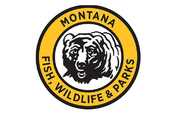 Montana Proposes Changes to Wolf Regulations in Effort to Increase Harvest