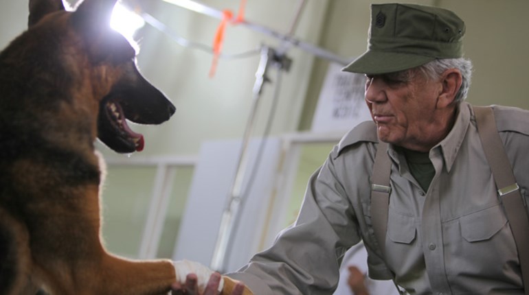 "The Gunny" Speaks: Saving Private K9 | An Official Journal Of The NRA