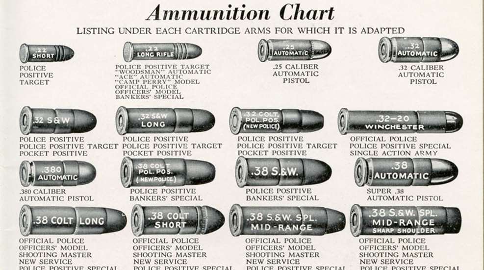 amchart.jpg
