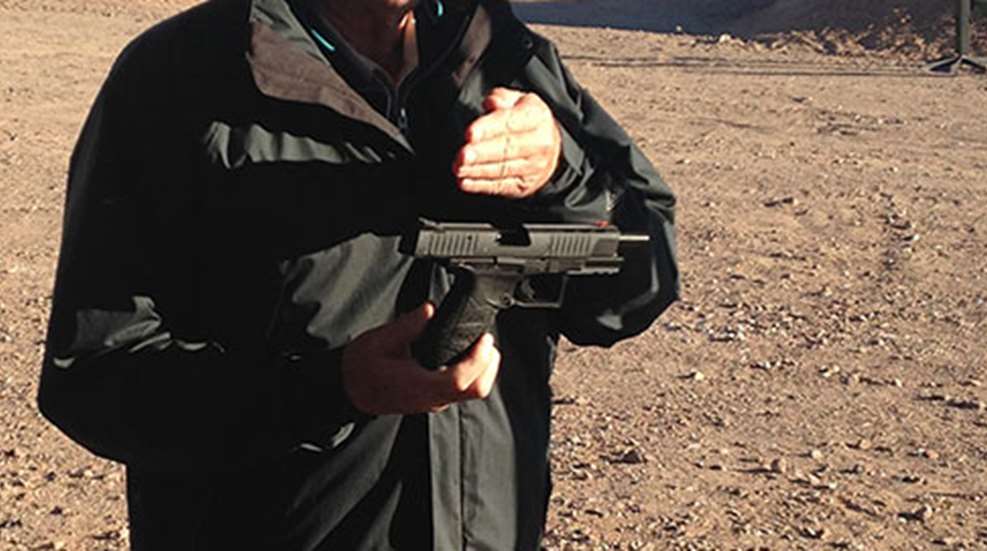 walther_ppq_22.jpg