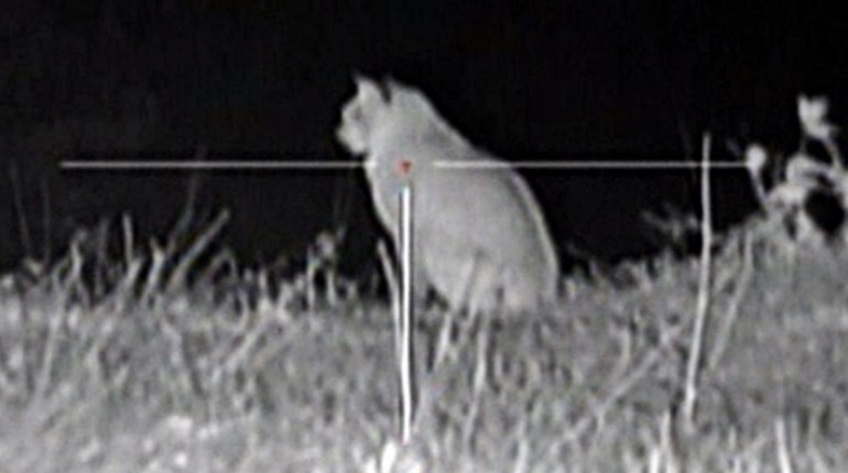 Thermal And Night Vision Revealed | An Official Journal Of The NRA